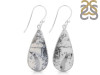 Dendritic Agate Earring-E DDA-3-107