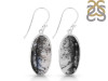 Dendritic Agate Earring-E DDA-3-110