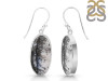Dendritic Agate Earring-E DDA-3-110