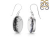 Dendritic Agate Earring-E DDA-3-112