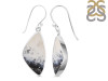 Dendritic Agate Earring-E DDA-3-116