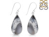Dendritic Agate Earring-E DDA-3-119