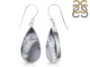 Dendritic Agate Earring-E DDA-3-119