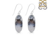Dendritic Agate Earring-E DDA-3-121