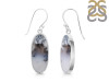 Dendritic Agate Earring-E DDA-3-121