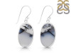 Dendritic Agate Earring-E DDA-3-123