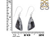 Dendritic Agate Earring-E DDA-3-124