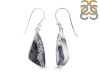 Dendritic Agate Earring-E DDA-3-124