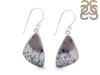 Dendritic Agate Earring-E DDA-3-125