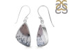 Dendritic Agate Earring-E DDA-3-125