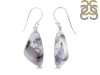 Dendritic Agate Earring-E DDA-3-126