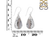 Dendritic Agate Earring-E DDA-3-127