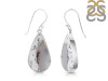 Dendritic Agate Earring-E DDA-3-127