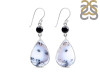 Dendritic Agate/Black Spinel Earring-2E DDA-3-57