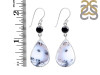 Dendritic Agate/Black Spinel Earring-2E DDA-3-57