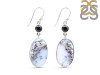 Dendritic Agate/Black Spinel Earring-2E DDA-3-60