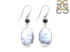 Dendritic Agate/Black Spinel Earring-2E DDA-3-61