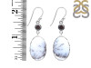Dendritic Agate/Black Spinel Earring-2E DDA-3-61