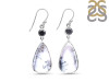 Dendritic Agate/Black Spinel Earring-2E DDA-3-75