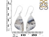 Dendritic Agate Earring-E DDA-3-81