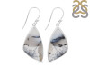 Dendritic Agate Earring-E DDA-3-81