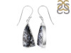 Dendritic Agate Earring-E DDA-3-83