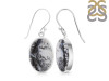 Dendritic Agate Earring-E DDA-3-85