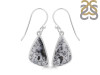 Dendritic Agate Earring-E DDA-3-87