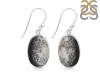 Dendritic Agate Earring-E DDA-3-88