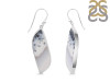 Dendritic Agate Earring-E DDA-3-89