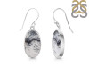 Dendritic Agate Earring-E DDA-3-91