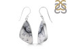 Dendritic Agate Earring-E DDA-3-93