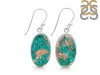 Dioptase Druzy Earring-E DPT-3-29