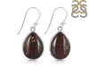 Dinosaur Bone Earring-E DSB-3-19
