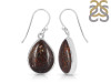Dinosaur Bone Earring-E DSB-3-19