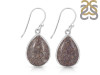 Dinosaur Bone Earring-E DSB-3-20