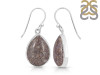 Dinosaur Bone Earring-E DSB-3-20