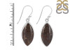 Dinosaur Bone Earring-E DSB-3-21