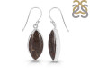 Dinosaur Bone Earring-E DSB-3-21