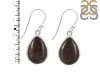 Dinosaur Bone Earring-E DSB-3-25