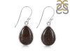 Dinosaur Bone Earring-E DSB-3-25