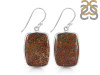 Dinosaur Bone Earring-E DSB-3-26
