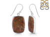 Dinosaur Bone Earring-E DSB-3-26