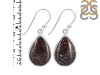 Dinosaur Bone Earring-E DSB-3-32