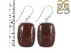 Dinosaur Bone Earring-E DSB-3-35