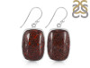 Dinosaur Bone Earring-E DSB-3-35