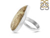 Fossilized Coral Adjustable Ring-ADJ-R FSC-2-26