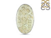 Fossilized Coral Adjustable Ring-ADJ-R FSC-2-33