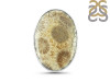Fossilized Coral Adjustable Ring-ADJ-R FSC-2-34