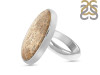 Fossilized Coral Adjustable Ring-ADJ-R FSC-2-4